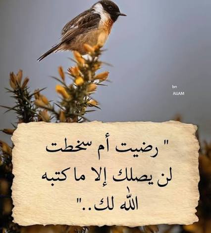 paulinaoleszczu's tweet photo. الخيرة دائماً فيما اختاره الله
 حتى لو بدا لك الأمر عكس ذلك https://t.co/H4YHc6GCTq