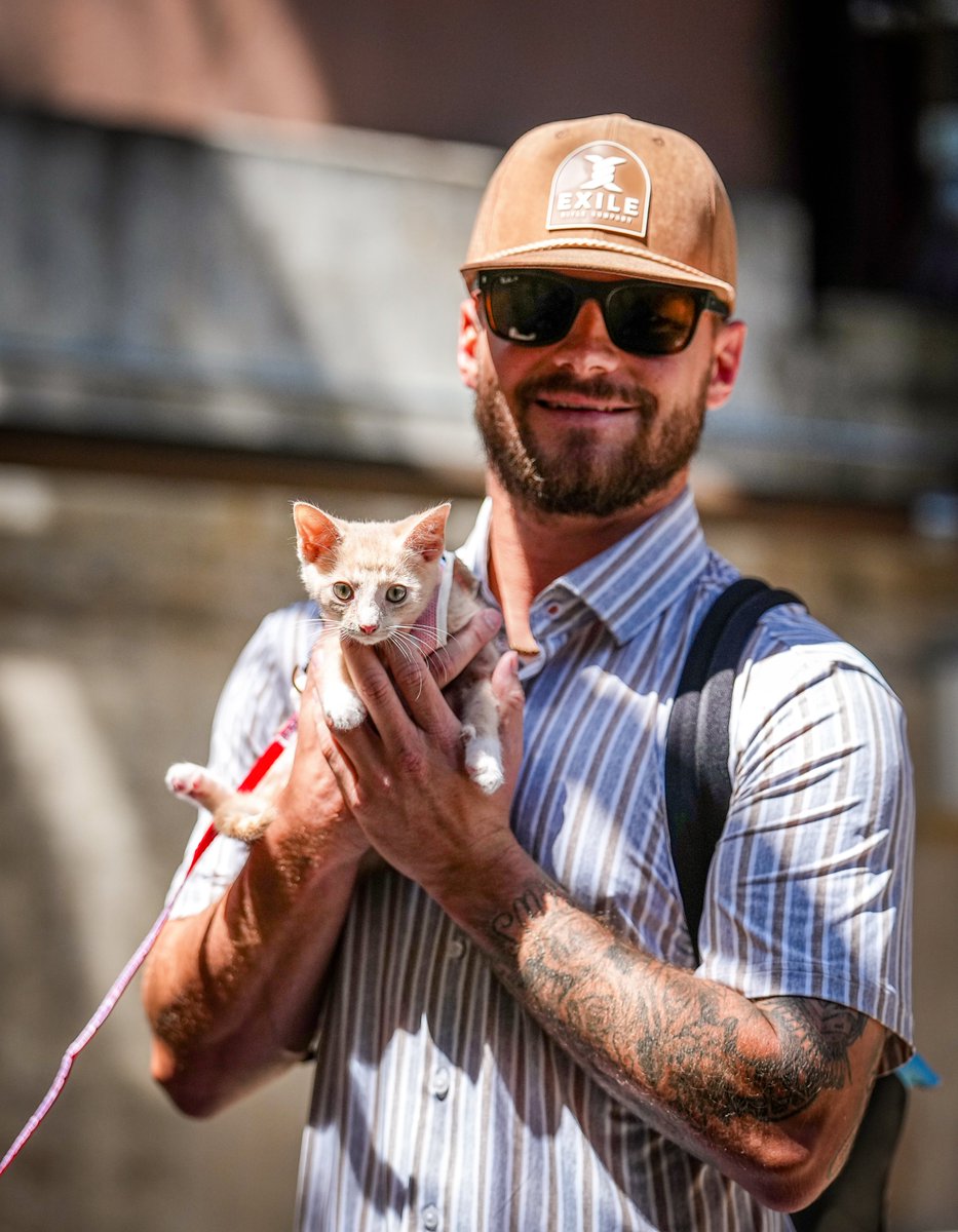 Phillies's tweet photo. This one's for the cat lovers 🥹

Stop by the First Base Plaza during tonight's game to meet adoptable kittens from the @PSPCA! https://t.co/SCDjBsAIN8