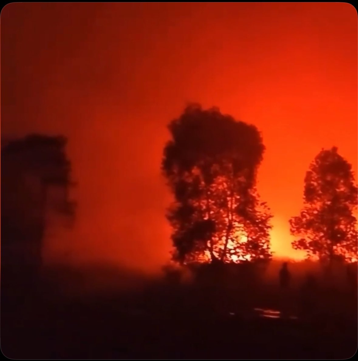 WeatherMonitors's tweet photo. Tonight, a forest fire is burning in Jejangkit Marabahan, South Kalimantan, Indonesia. https://t.co/hba5E546KX