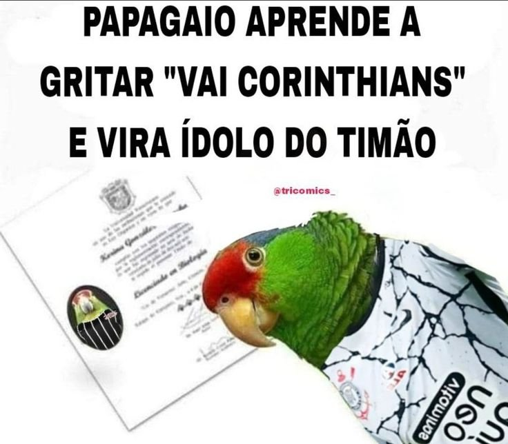 parmeramilgrau's tweet photo. Impressionante como o Memphis é a personaficação desse meme hahaha https://t.co/yxk3XIbAR2