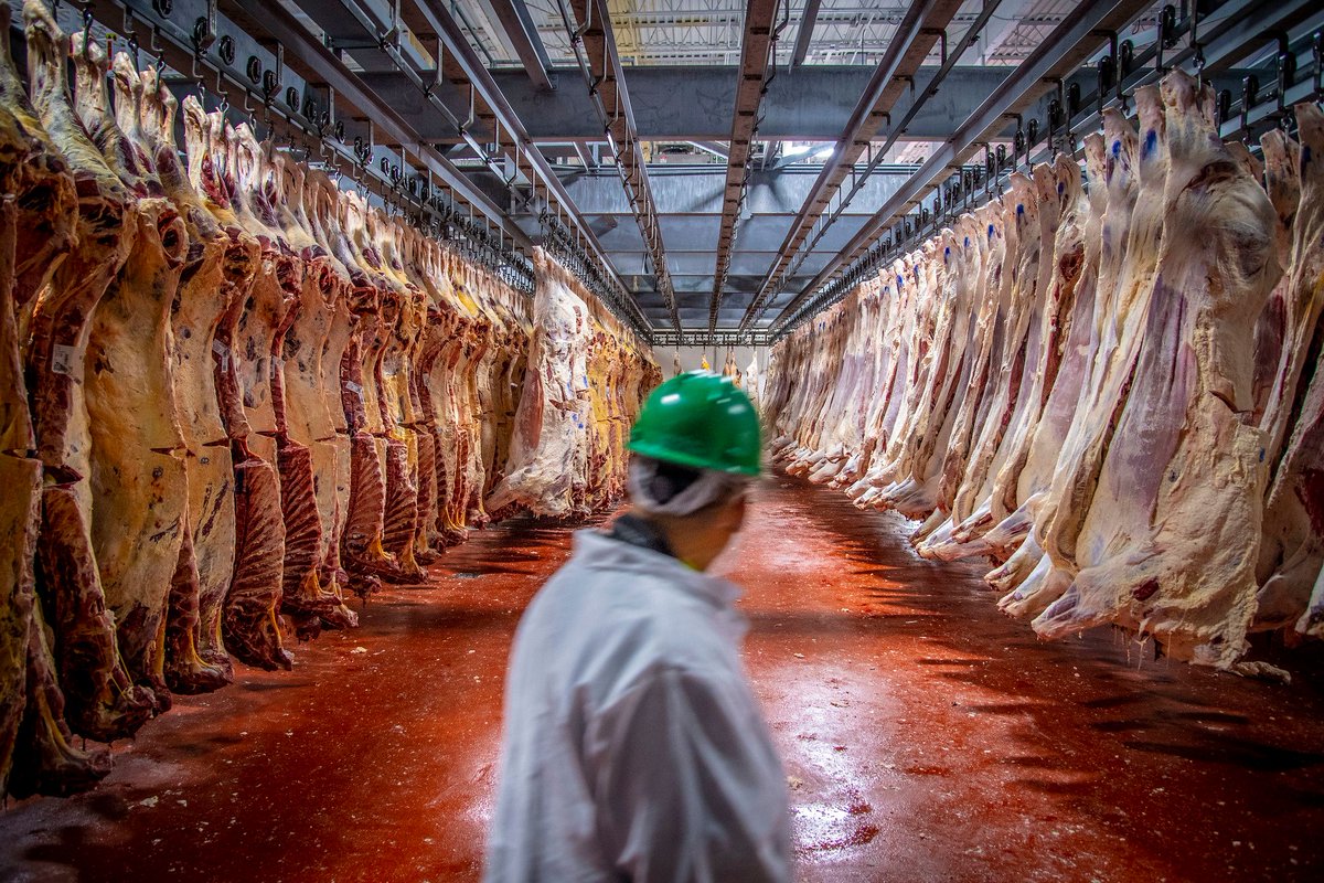 KObradovich's tweet photo. President Donald Trump announced Friday he was suspending tariffs on 300,000 metric tons of imported ground beef to help lower the cost of the meat, in a move cattle producers said would not help their efforts to restore herd sizes, @koons_cami reports.  https://t.co/oUbqiMLnpC https://t.co/uLoJTmnuwr