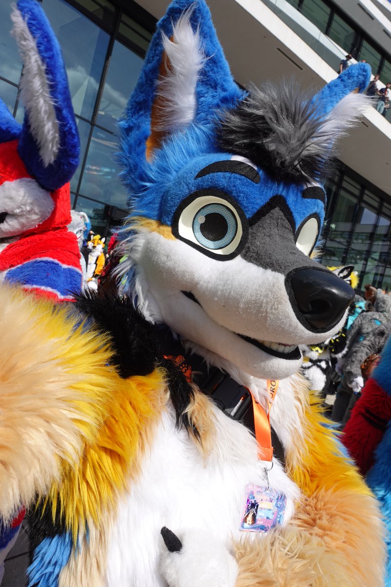 NexusJackal's tweet photo. So much fluff here 😵‍💫 #FursuitFriday https://t.co/PGFtRLb53s