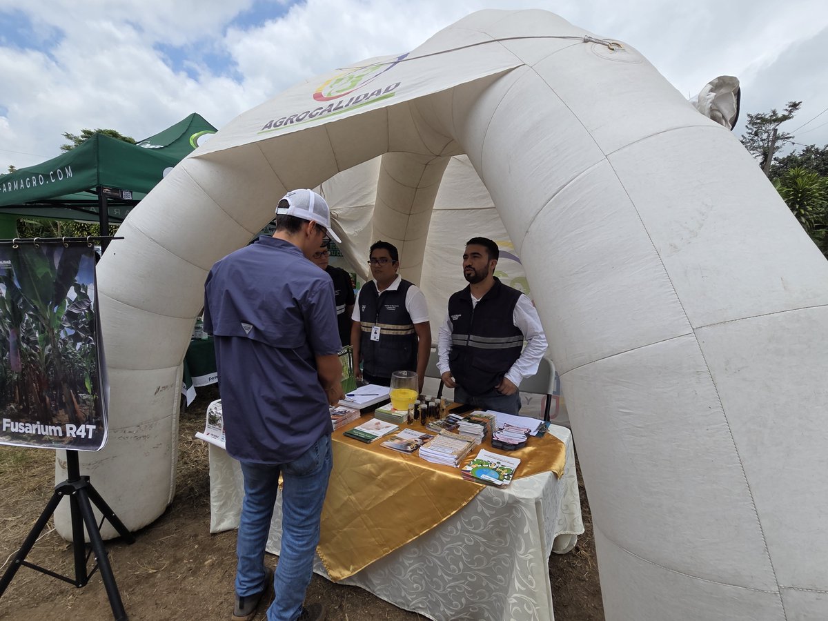 AgrocalidadZ4's tweet photo. 📍 | #AgrocalidadEnTerritorio 

En #SantoDomingo participamos en el evento Productores de plátano resilientes al clima organizado por UNIPROCAM, entregamos certificados: 
✅️Huertas de producción de plantas madre
✅️Registro de centro de propagación de especies vegetales. https://t.co/hmvQWRXRZc