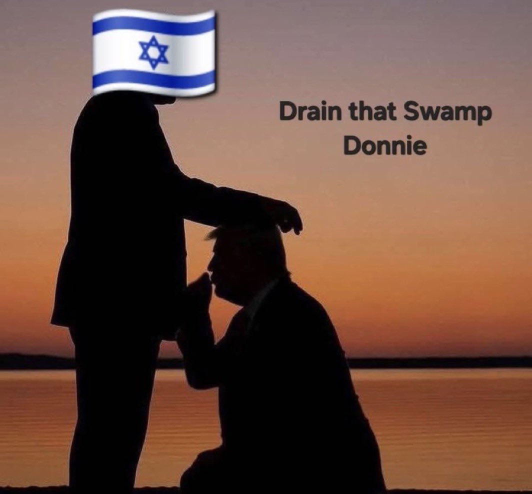 ImplodingMedia's tweet photo. @USAmbToBelgium @nathancofnas is nothing more than a idiot who like most ethnosupremicist Jewish fraudsters from Eastern Europe thinks , acts and writes like a NAZI. 

A by product of a mega 350 individual genetic pool, can only have a brain 🧠which is short circuited and evil like Israelis. https://t.co/7cr2Ftwc9M