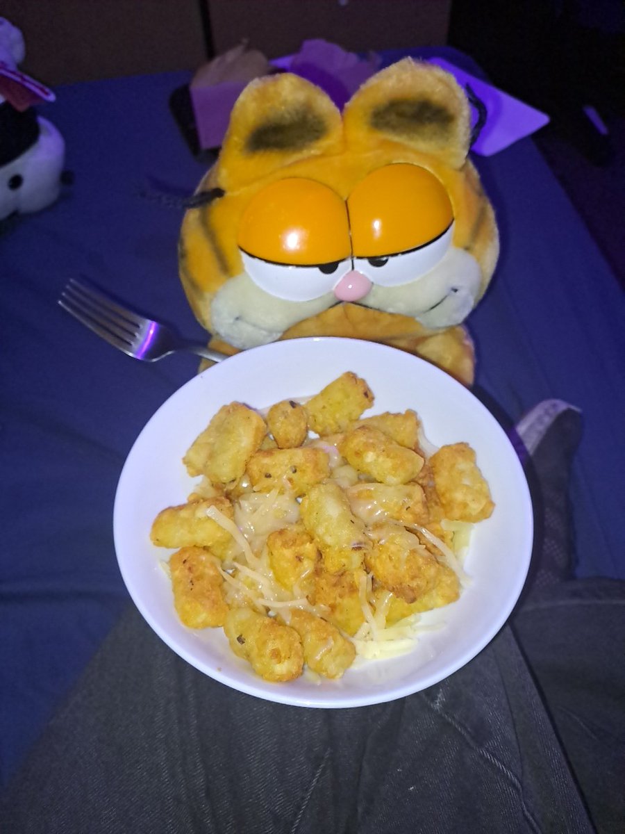 RottingBugVivi's tweet photo. Drunk and eating cheesy hashbrowns w garfield because no one else understands it https://t.co/1KRjjH3haB