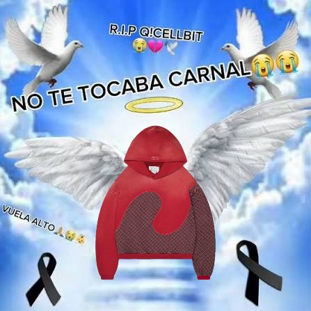 jxrebeca's tweet photo. 💔te quisimos bien harto https://t.co/sRcGumENHu