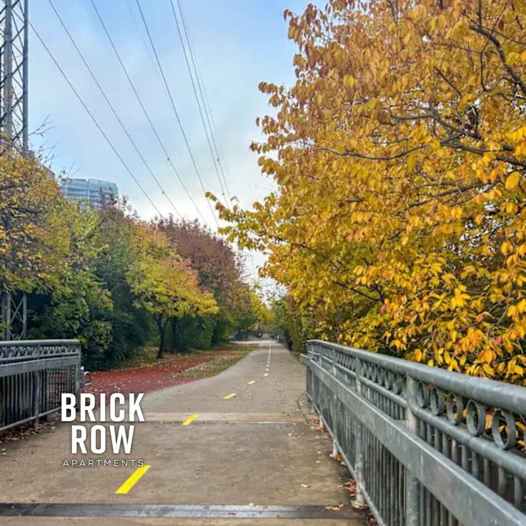 BrickRowApts's tweet photo. 🏙️Residents at Brick Row Apartments love how perfectly located we are within Dallas. Come see why! #SPGCommunity #brickrowapartments https://t.co/y9TnR1g4Rm https://t.co/cLyRHFMtzP