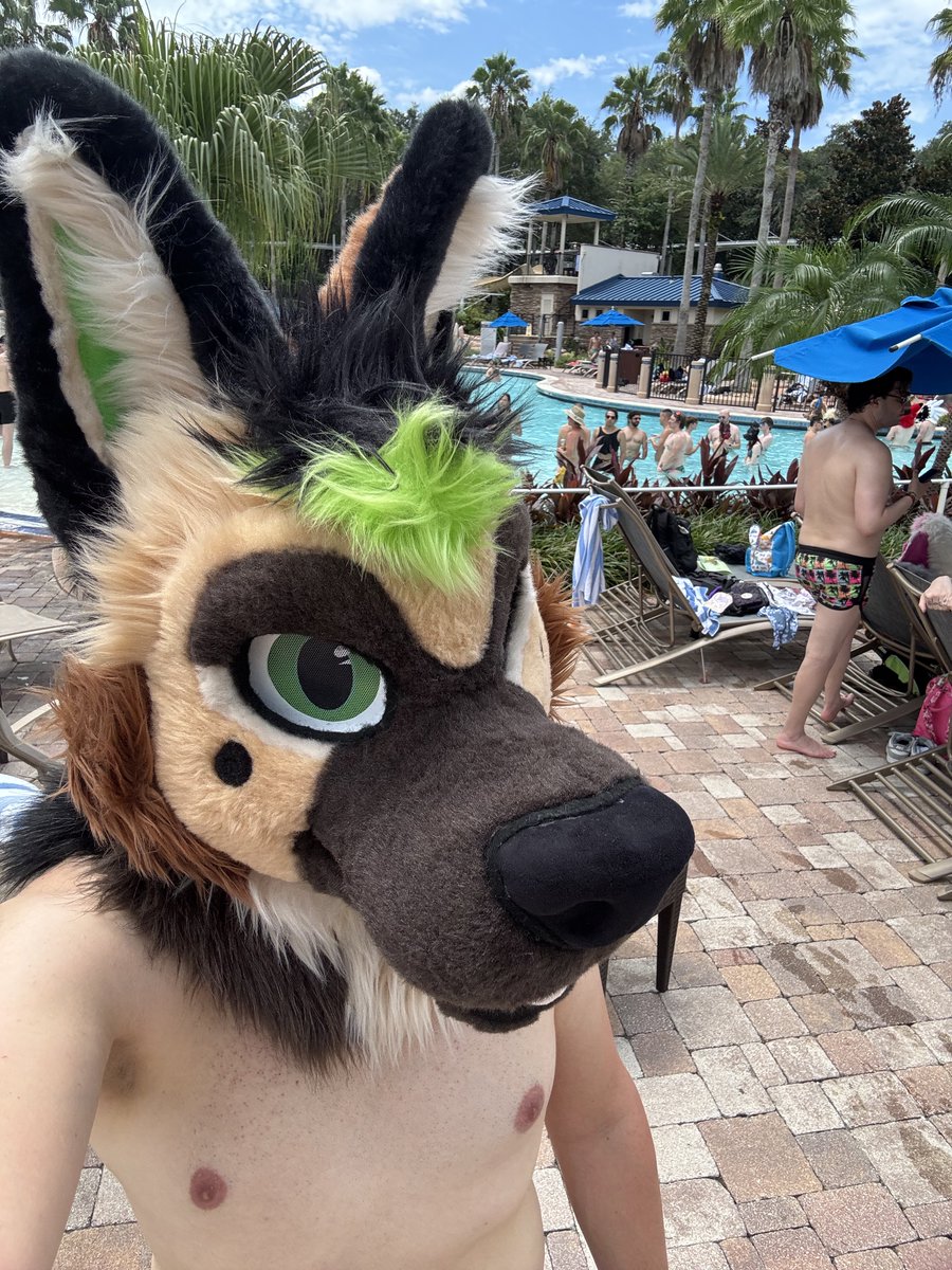 TraxGSD's tweet photo. Megaplex Pool! https://t.co/W6zEQJDQrb