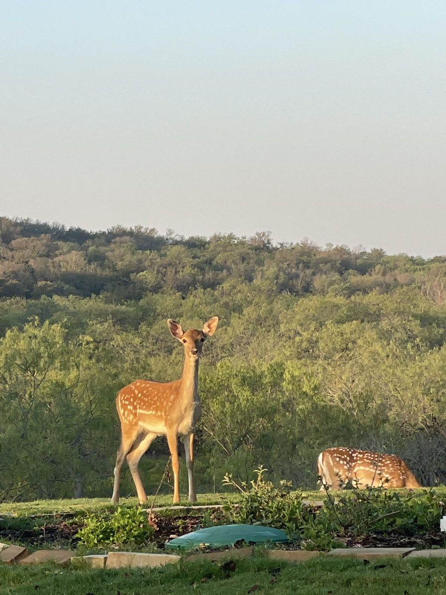 The_KoKoMo's tweet photo. @SamLyman33 They need to be built in industrial zones and not in the middle of our irreplaceable AgLand. Our land is worth the fight. https://t.co/PbR7g1GgYF