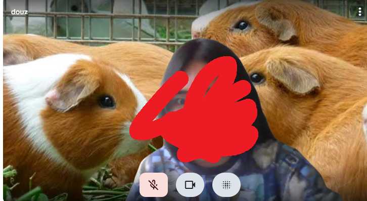 pizzafl3x's tweet photo. iba a entrar a una reunion en meet y me habia olvidado q tenia este fondo d cuyes 😭😭😭😭😭😭 https://t.co/Zfp2i1hvcS