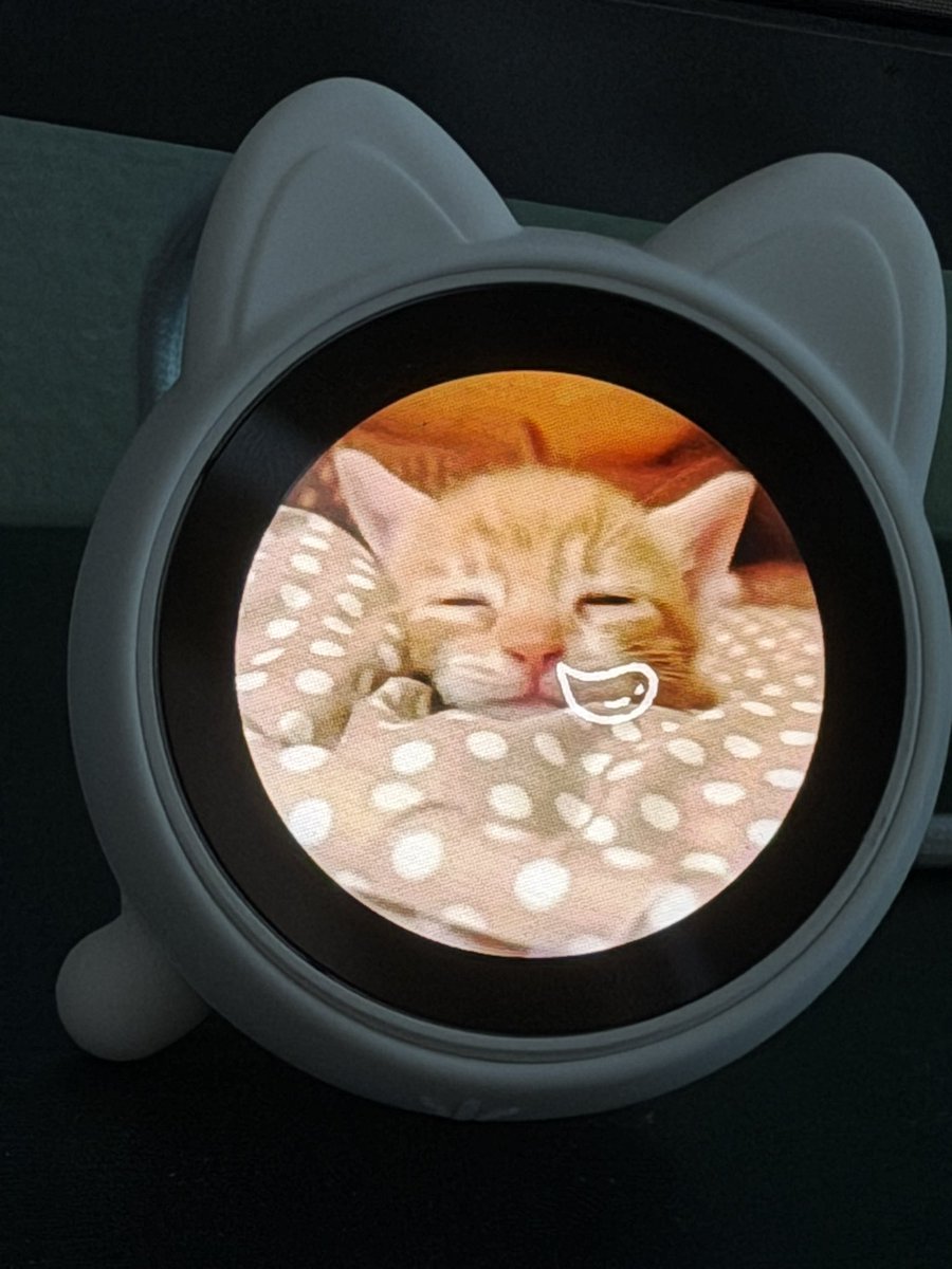 bellywub's tweet photo. my baby has arrived. https://t.co/NU91VlU4mM