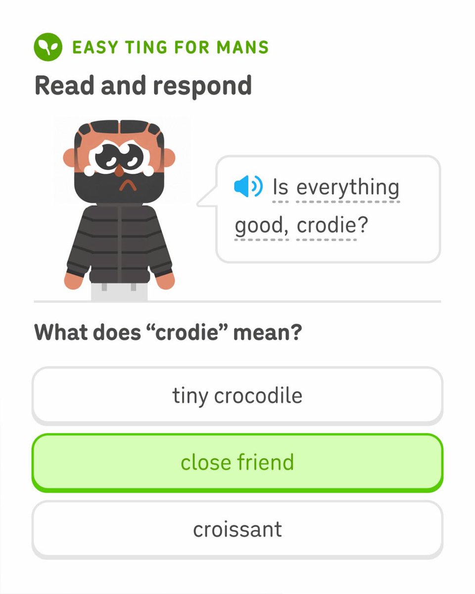 6ixbuzztv's tweet photo. Duolingo gives their take on Toronto slang 👀 https://t.co/LiA3rIYIcC
