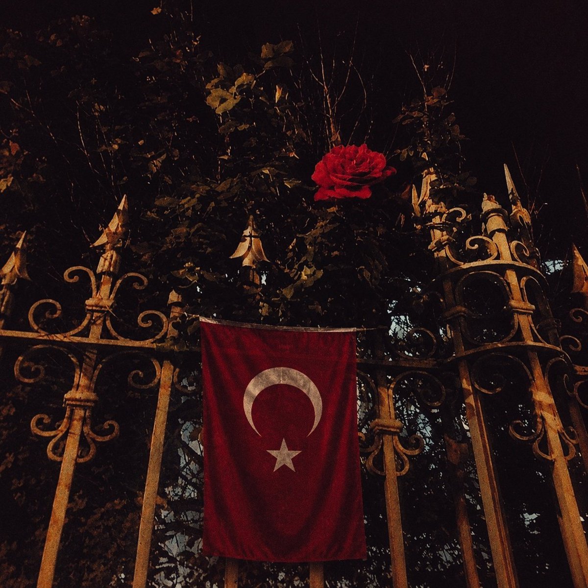 frhatblt's tweet photo. “sen bir yıldızsın, zifirinin bile örtemediği..” 🇹🇷 https://t.co/TWgBCzuMKM