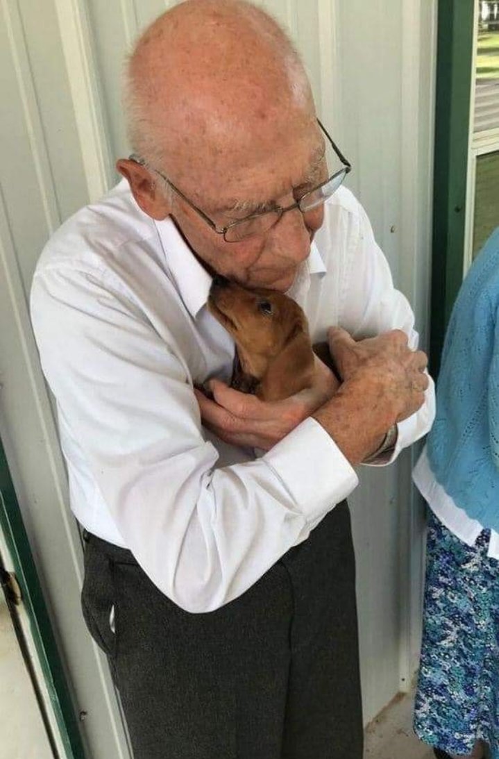 KingMVP225's tweet photo. Anonyme : Lorsque ma grand-mère est décédée, mon grand-père s'est retrouvé seul dans sa maison. Chaque fois que j'allais lui rendre visite, il était toujours seul et ne voulait pas que quelqu'un s'installe avec lui. J'ai donc eu l'idée de lui donner un petit chien que j'avais sauvé de la rue.

Quand il l'a reçu, il l'a appelé « Chirulin ». Ils font tout ensemble : prendre le soleil, manger, se promener, regarder la télévision, etc. Il y a quelques jours, mon grand-père est tombé malade et pendant ces jours-là, il m'a écrit une lettre sur la façon de traiter et de prendre soin de « Chirulin », au cas où il ne sortirait pas de l'hôpital. Il m'a également écrit la recette de la soupe qu'il prépare pour « Chirulin ». Et je n'ai eu qu'une idée : lui demander de m'écrire aussi la recette pour vivre sans lui, sans mon grand-père.

Il a confié « Chirulin » à toute la famille. Hier, il est sorti de l'hôpital et, bien sûr, nous lui avons amené « Chirulin ». Il l'a serré dans ses bras et lui a murmuré : « Il faut se dépêcher et faire tout ce qu'il nous reste à faire ensemble, il n'y a pas beaucoup de temps », et il s'est mis à rire... Oui, mon grand-père a fait une liste de choses qu'il veut faire en compagnie de « Chirulin », son fidèle ami. Rien qu'en voyant comment « Chirulin » le regarde, on comprend à quel point ils s'aiment.

Et à ceux qui disent que ce n'est qu'un chien, je dis : « Les animaux sont un cadeau pour l'âme, une salle de sport pour apprendre la tolérance, le respect, l'amour. L'amour, le véritable, celui qui ne divise pas mais qui unit. Aimer nous apprend à aimer. »