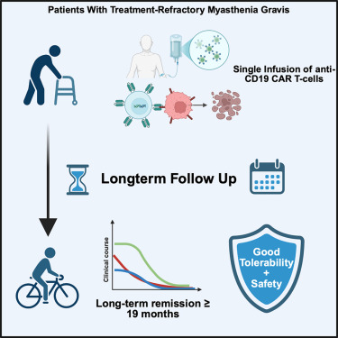 LabWaggoner's tweet photo. Long-term outcomes of anti-CD19 CAR T cell therapy in refractory myasthenia gravis: A case series @CellRepMed @aiden_haghikia 
https://t.co/biAULUyz9E https://t.co/W8Tiq74mmZ