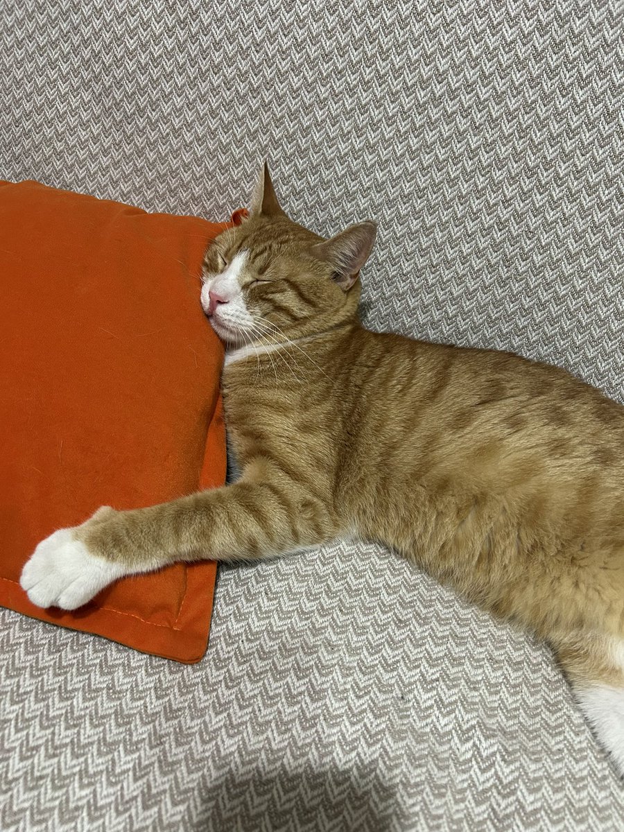 aliack01's tweet photo. @olurunbu https://t.co/5QeCxCtrEo