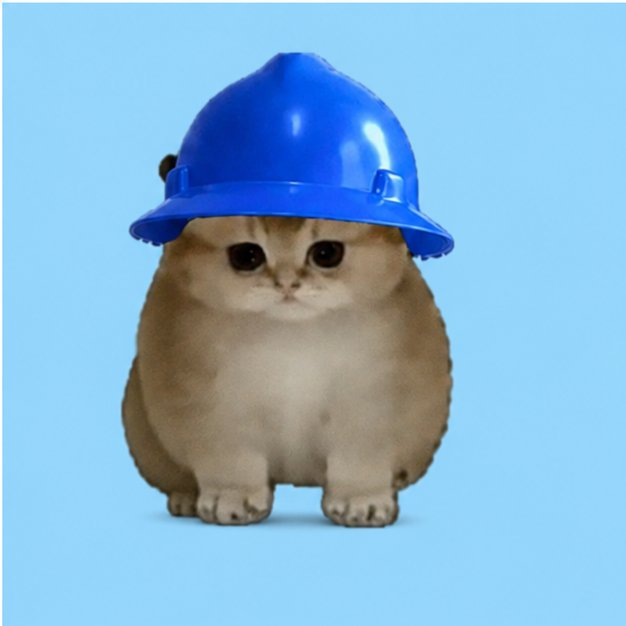 0xChurch's tweet photo. @baseapp basecat https://t.co/wgbh2GRSGC