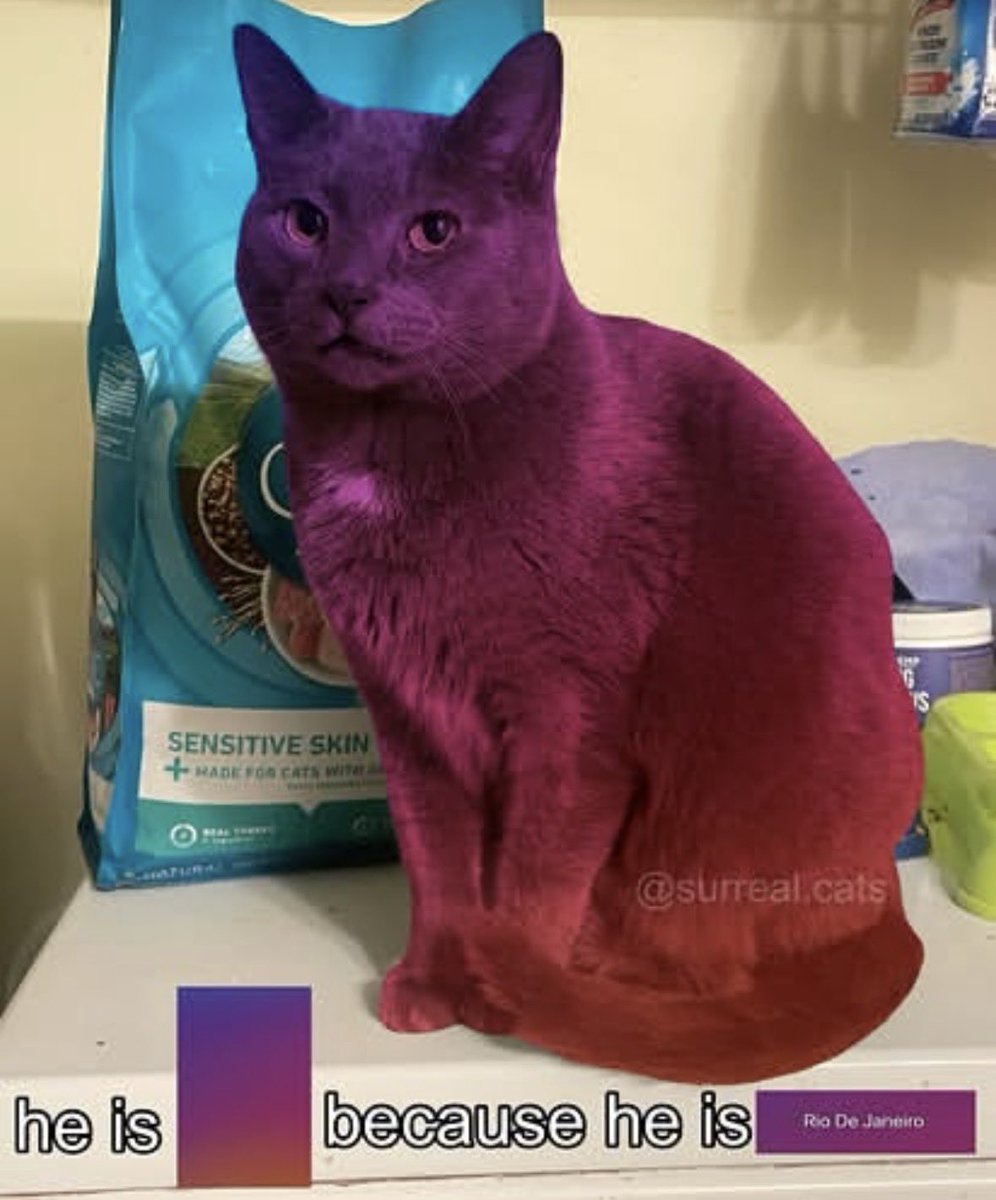 literallymecats's tweet photo. https://t.co/cRZdm2qr8z