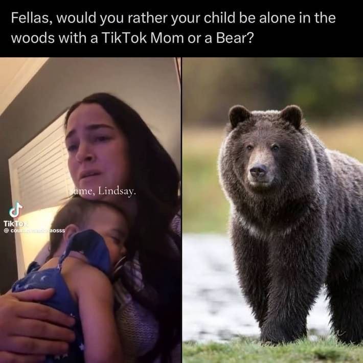 HumamAnamoly's tweet photo. I pick the bear. https://t.co/BVSaHRZGLc