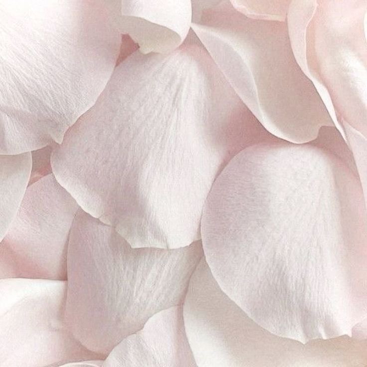 yuyu_xoxo3's tweet photo. ╰┈➤𝐖𝐡𝐚𝐭 𝐖𝐨𝐮𝐥𝐝 𝐘𝐨𝐮 𝐑𝐚𝐭𝐡𝐞𝐫 𝐄𝐚𝐭 𝐢𝐧 𝐀 𝐃𝐚𝐲?
~ a 🧵 for edtwt
— calories dont count .ᐟ
♡/ ↻ are appreciated!
🏷️ #edtwt #edrtwt #shedtwt #ricecaketwt #thinspo #foodpoll #distraction #interactive #thisorthat #poll #thread #wl #ana https://t.co/PEDOH9YOLf