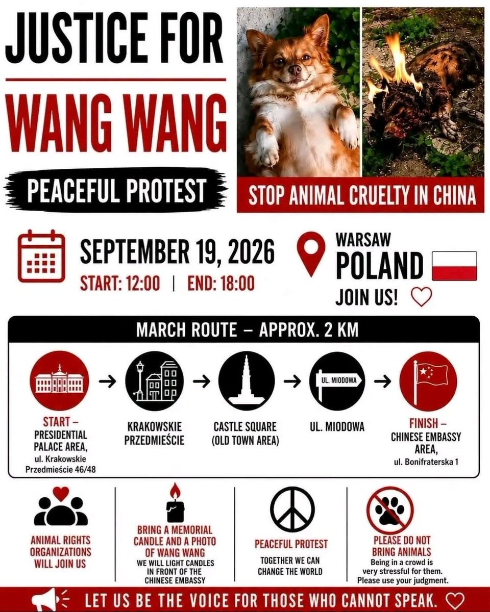 Anna18462634's tweet photo. POLAND FOR WANGWANG 12/09/2026
#fuckchina #boycottchinatourism
#APEC #Dalian #China #apec2026
#justiceforwangwang #wangwang #旺旺 #Jieyang #BoycottJieyang #BoycottChina #AnimalProtectionLawChina
#EndCatTortureInChina #chinatourism #chinatravel #safechina #chinacool #chinamaxxing https://t.co/K2XGu2vtm7