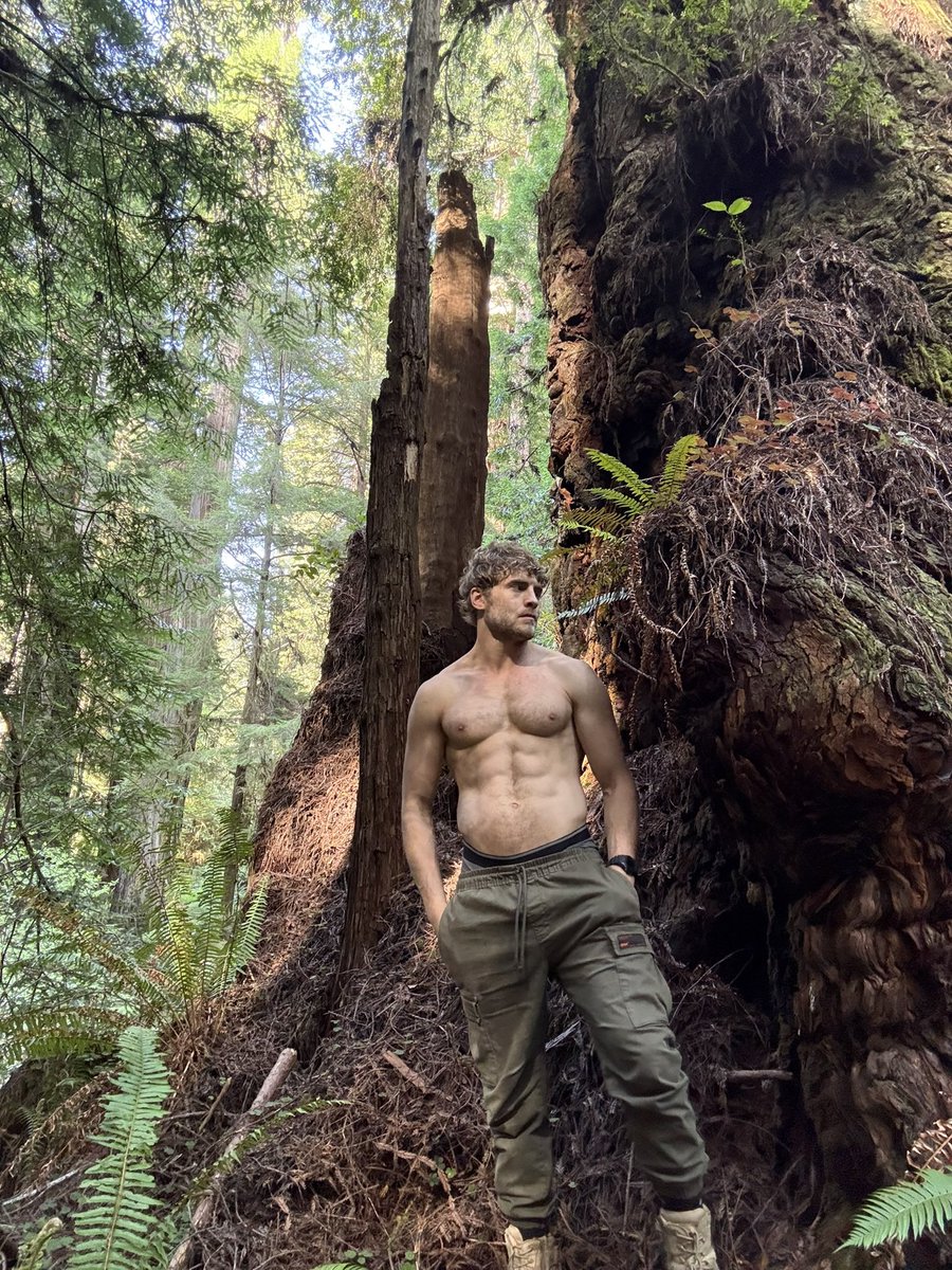 hunterxhiker's tweet photo. longing for the coastal woods 💚🌲 https://t.co/iEBlh7bBko