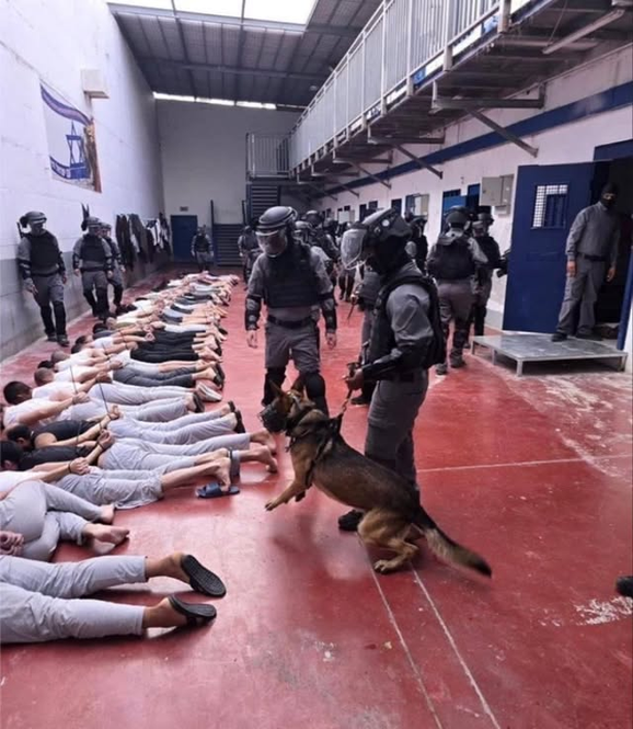 Osiris12932427's tweet photo. xtremist Israeli jewish minister itamar ben gvir: “We must kill 40 to 60 Palestinian prisoners everyday.”

Please don't stop talking about Palestinian prisoners in Israeli jails. 💔😭

pour souls in the hand of devilish barbarians https://t.co/FMVJEIEvRw