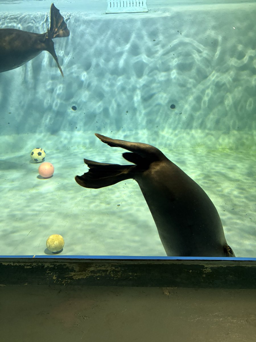 velopapa's tweet photo. ナイトのアクアリウム https://t.co/ksBkG88pDH