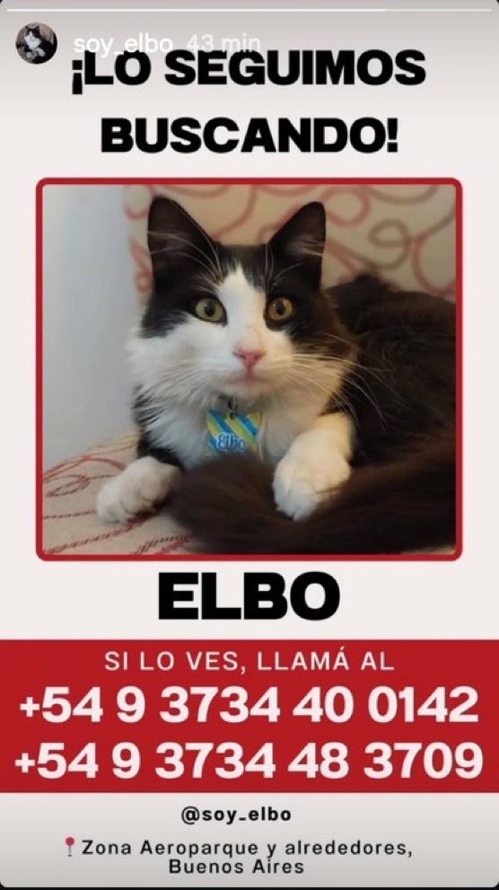 vulgarcite's tweet photo. Rwanda apareció pero con Elbo pasó lo mismo y aún no aparece. ¿Que está pasando en Aeroparque con los animales? https://t.co/VsUfL14erg