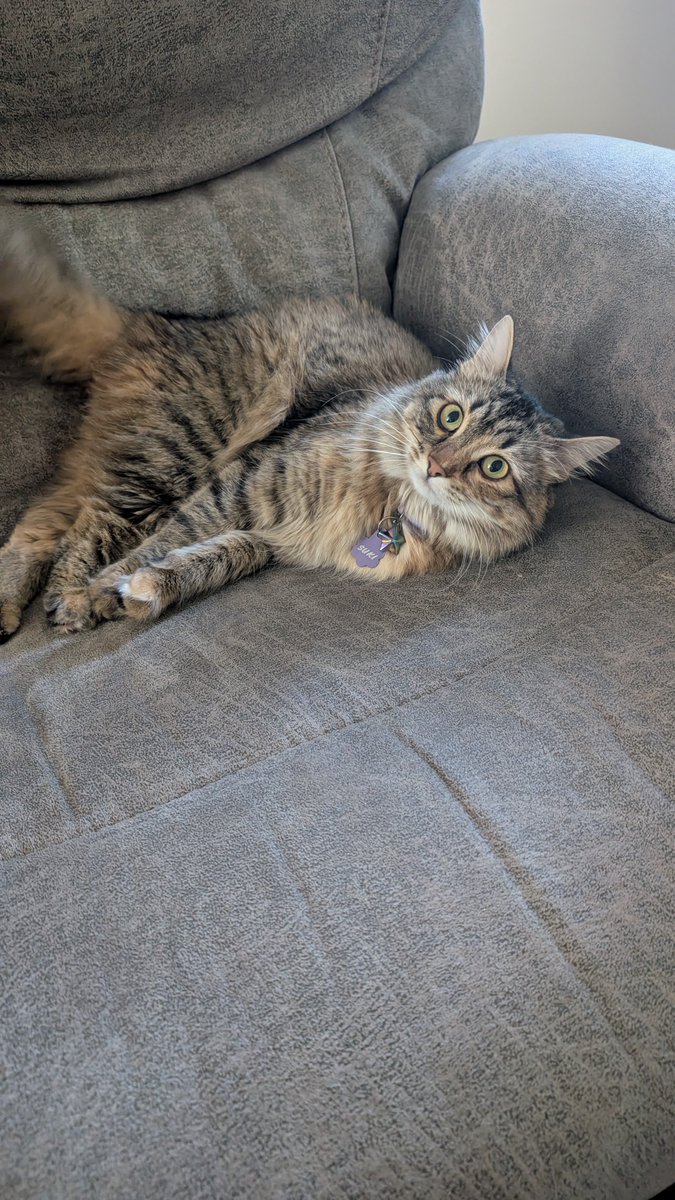 GetForkStabbed_'s tweet photo. I miss when she was this smole. Now she's a Little gremlin https://t.co/l3gM7Kf5Y4