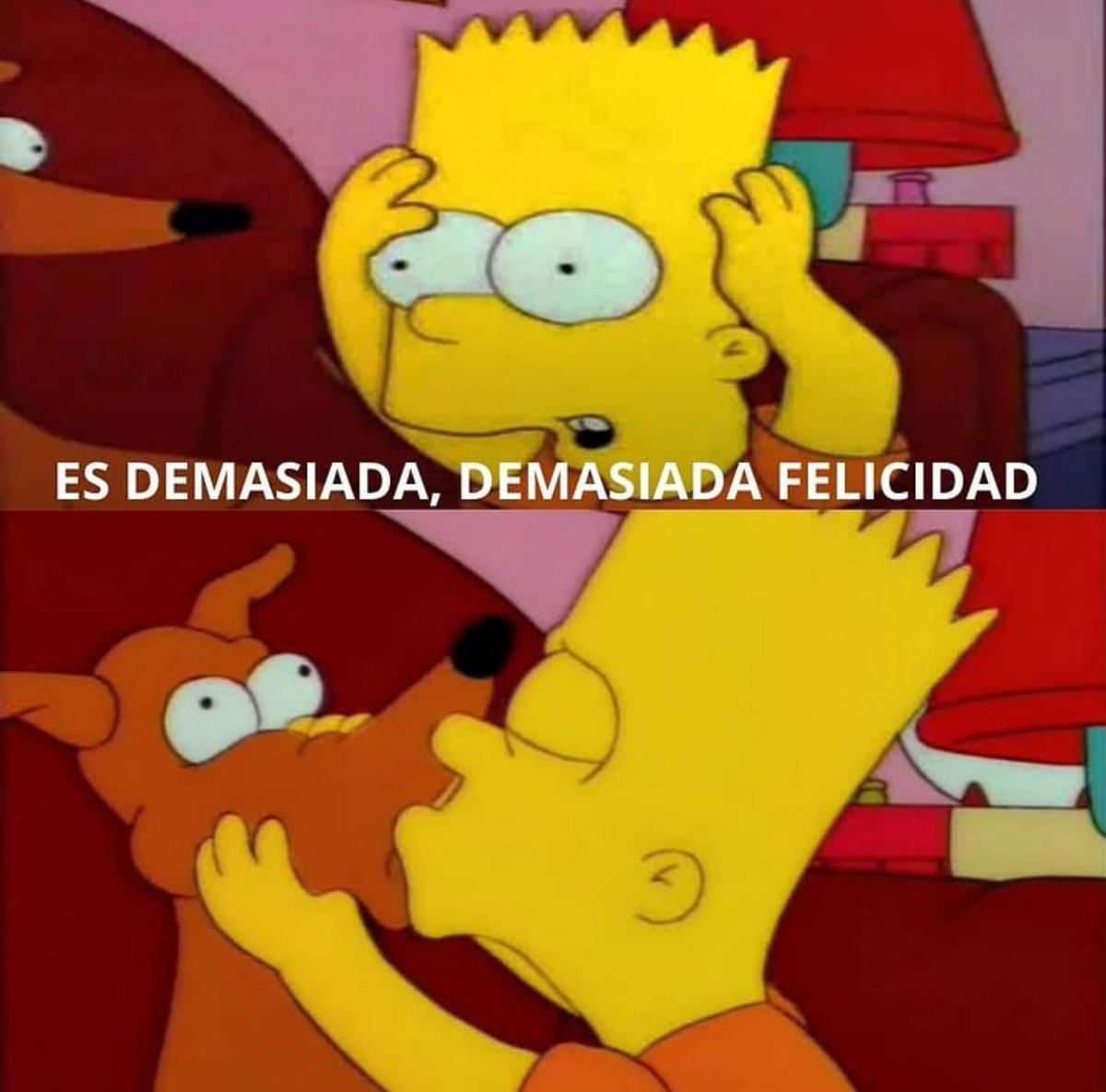 rodesiia's tweet photo. estaba hasta las tutucas con un problema y anoche le pedí ayuda a san expedito y HOY se me resolvió todo GENIO https://t.co/EsnjTczXmY