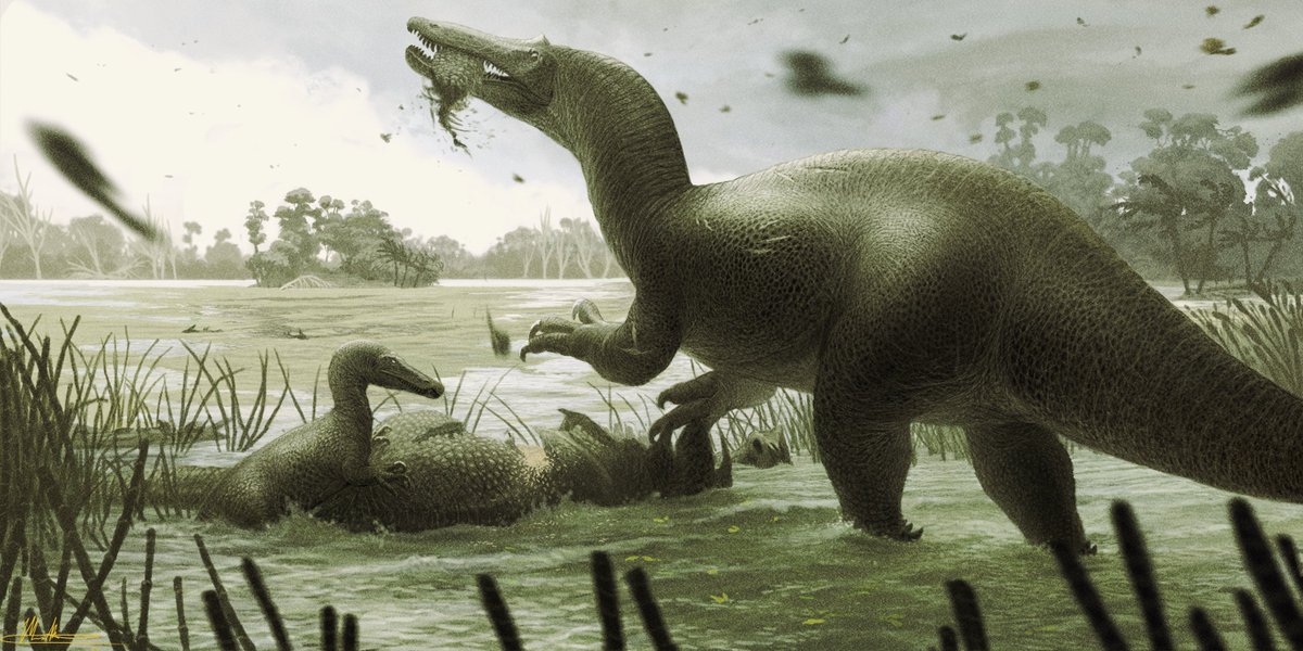 TredwayJack93's tweet photo. New Illustration! In time for #fossilfriday Water was the trickiest part of this whole thing. Got many more ideas on the table for the next drawing. https://t.co/LQEMcCaf6M