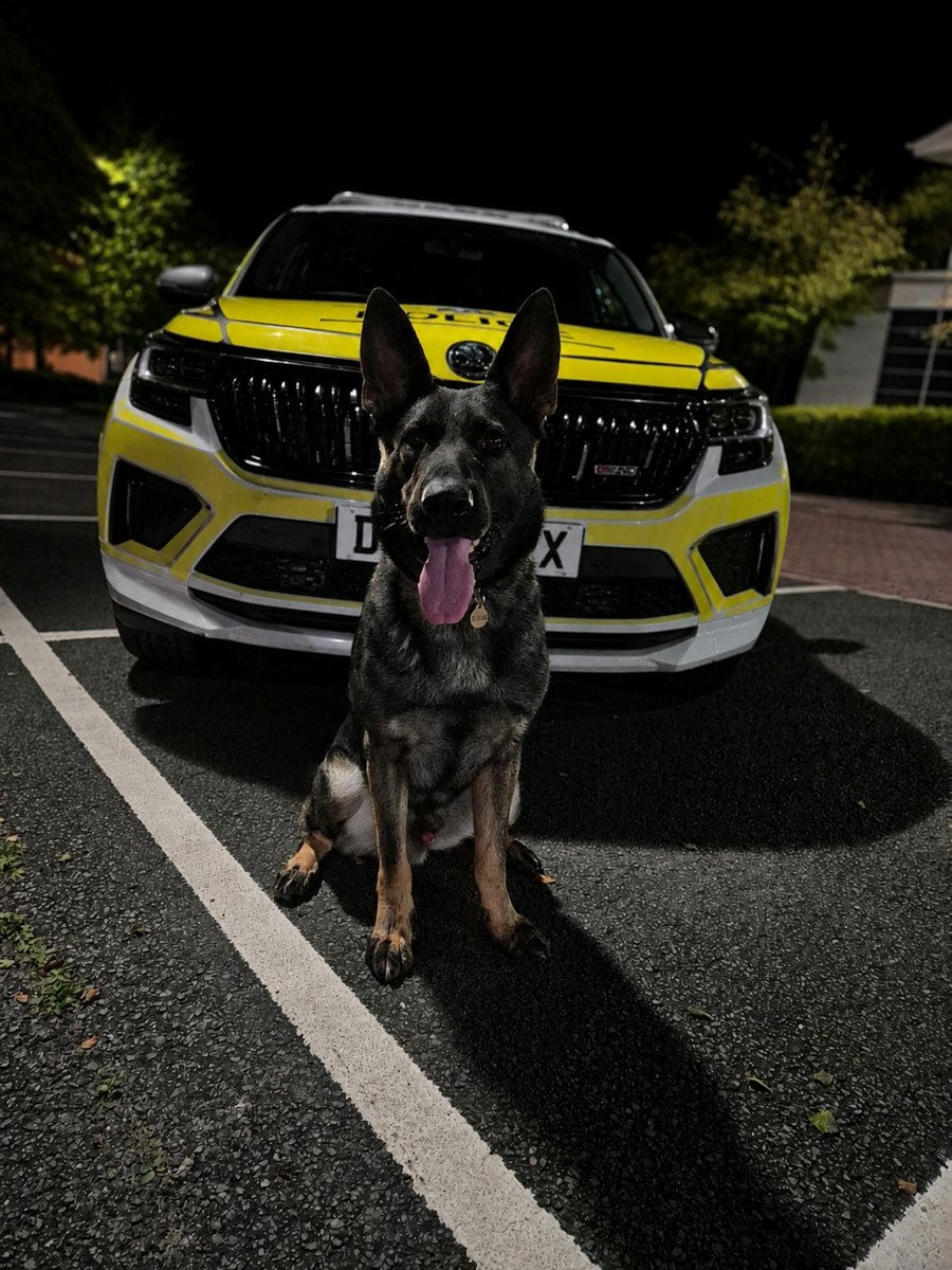 MerPolDogs tweet picture