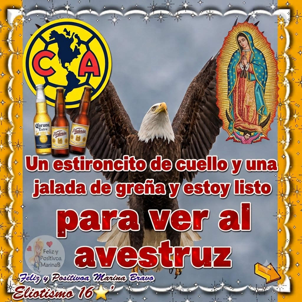 cabronazolider's tweet photo. Ya casi listos para ver al avestruz 🦅🦅🦅 https://t.co/kr6oOFunx2