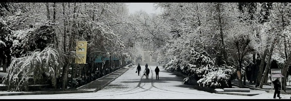 Sem00e tweet picture