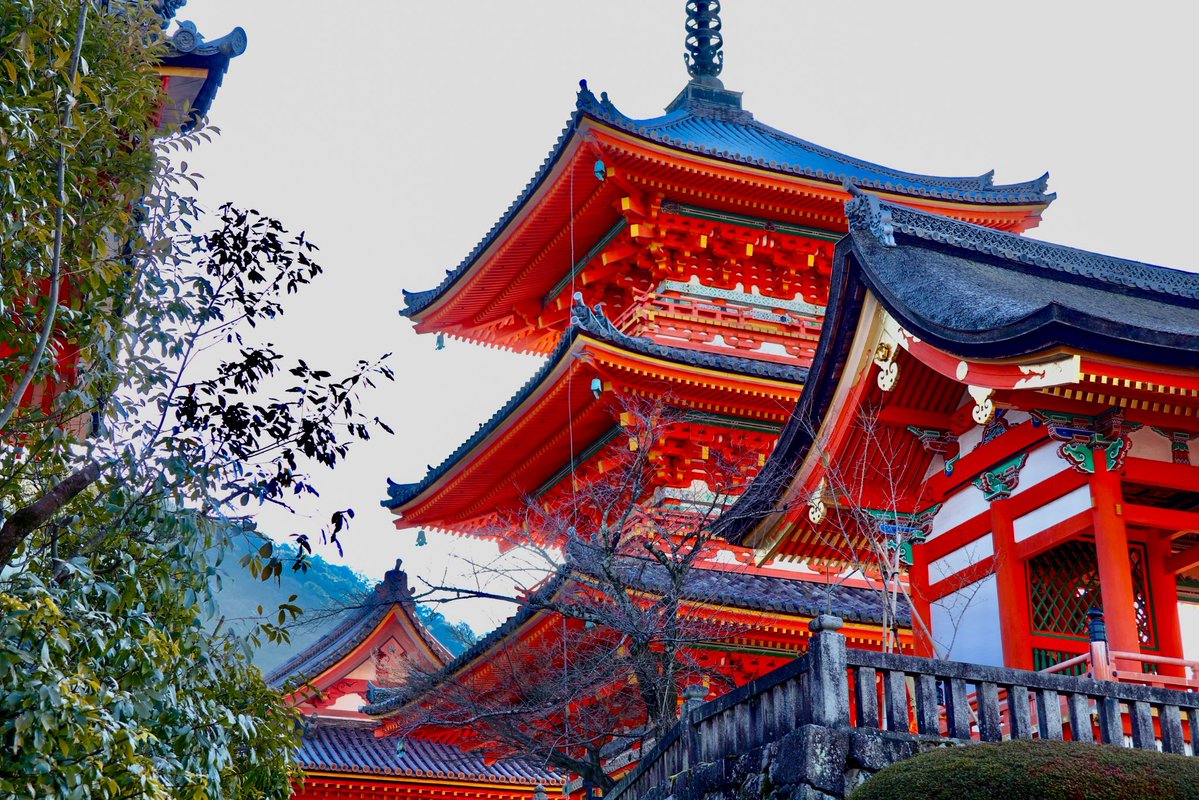 yu_no_nitijo's tweet photo. 朝方の清水寺

#日常垢 #日常垢さんと繋がりたい
#写真好きな人と繋がりたい https://t.co/uMaRiemy4H