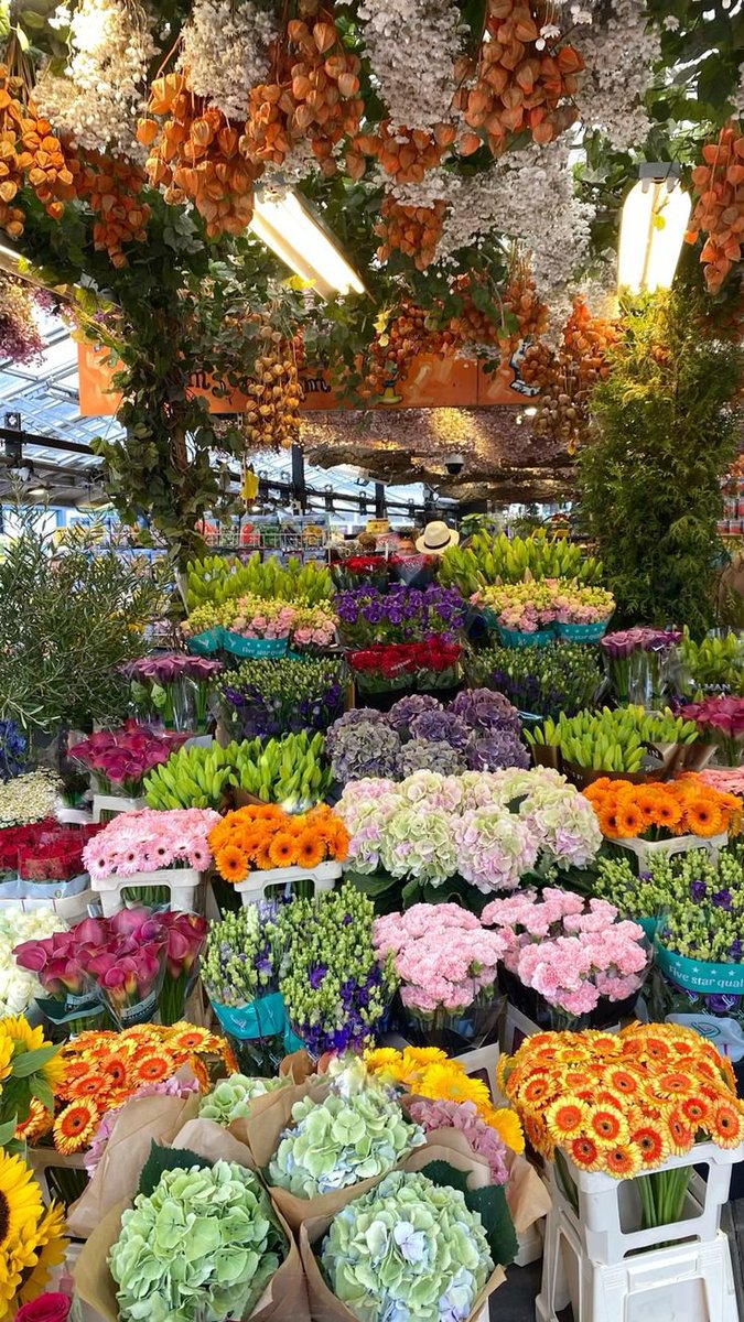 FLOWERS3700's tweet photo. https://t.co/thetKPVKbv