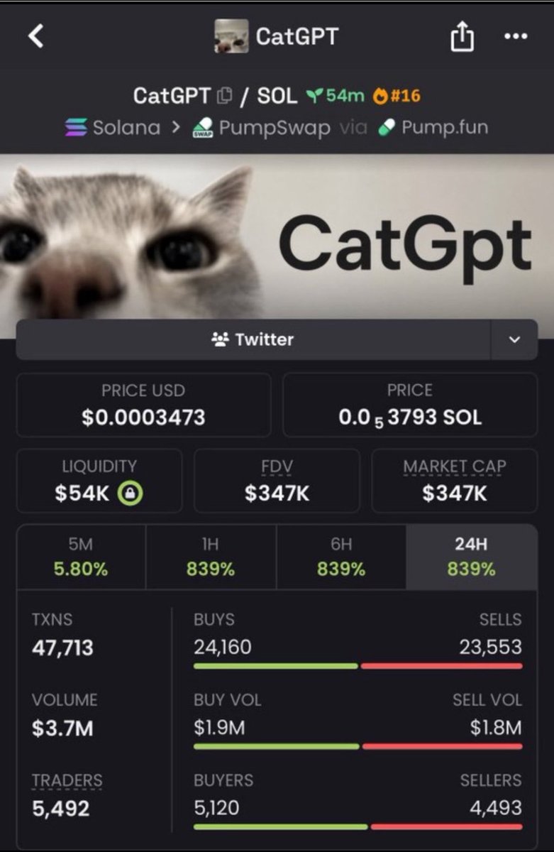 BreonBankroll's tweet photo. 🚨 $CatGPT JUST SENT IT! 🐱🔥

$21K MC ➜ $347K MC 🚀
That’s 16X+ for the early eyes. 👀📈

💎 Private TG spotted it before the crowd again.

Don’t chase the next runner after it moves.
📩 Follow + DM to join 

CA: 8mCt5QnoD4izGiBncq4C2kkzPDqJNwHY9twnxiAapump https://t.co/Yvpm8RpjmH