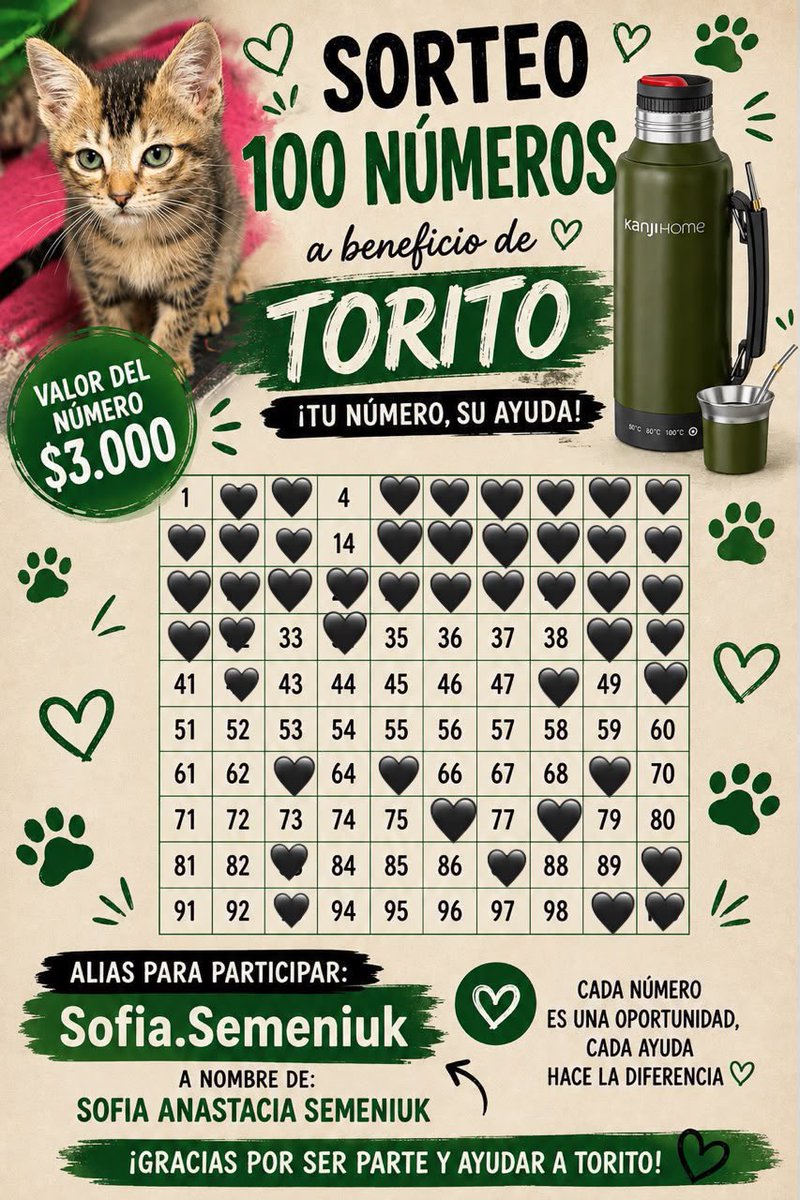ojosdecielo09's tweet photo. Quién quiera ayudar a Torito, un gatito que rescató mi amiga. Tiene que hacerle una eco y estudios y no puede pagarlos 🙏🏻 https://t.co/RZGpnMdllY