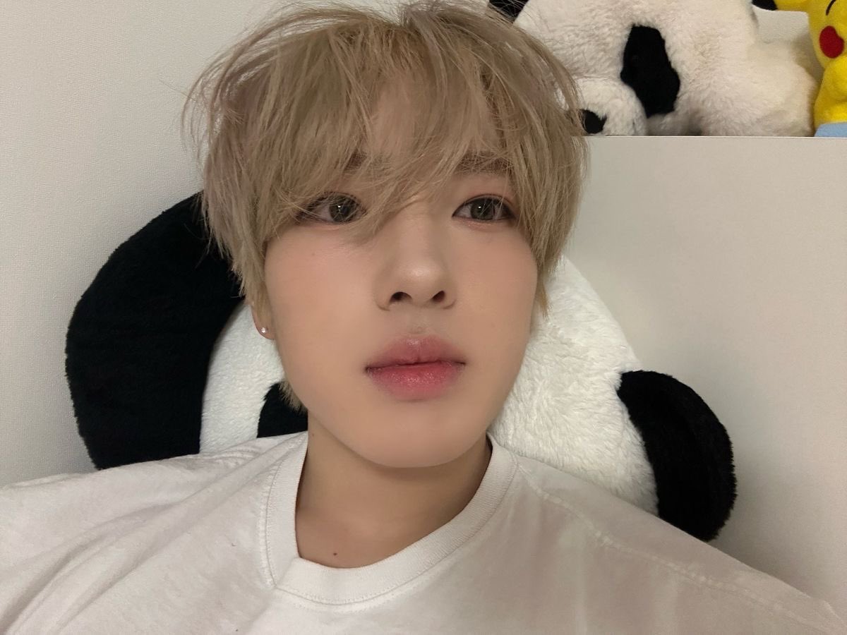 dandand0ll's tweet photo. ⠀

⠀                             ˚ ༘ 𝐴𝑚 𝐼 𝓹𝓻𝓮𝓽𝓽𝔂 𝑐ℎ𝑎𝑡? ͙͘͡★

⠀ https://t.co/PYi7NAyNaK