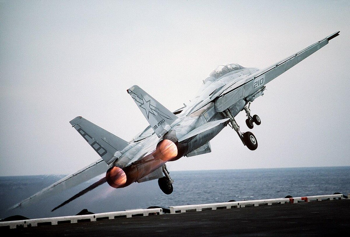 cecilia_hl1584's tweet photo. Grumman F-14 Tomcat https://t.co/mUIgjSZoqS