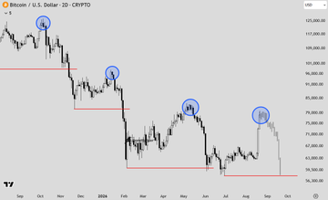 YScisdIO's tweet photo. Bitcoin is testing everyone’s patience again 😂. The $80K level is a key psychological battle. A healthy pullback is just a market “breath” before the next move https://t.co/jv5sA36FwY