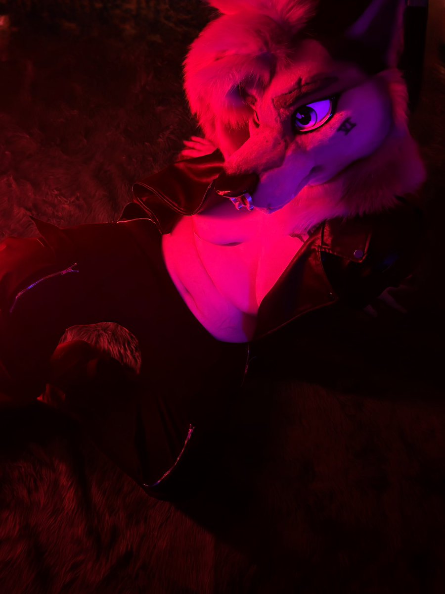 fleurd3louve's tweet photo. Still too hot for leather :( https://t.co/It3mDLykaV