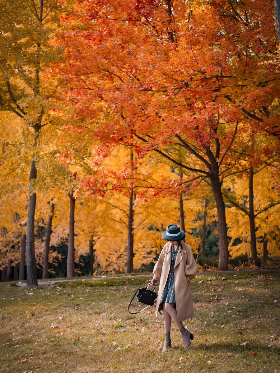 Guilher72464707's tweet photo. A light autumn breeze carries the scent of osmanthus—perfect for a cozy walk with a warm latte, the first real coolness of the year hits different!， https://t.co/D6ivAhpjOI