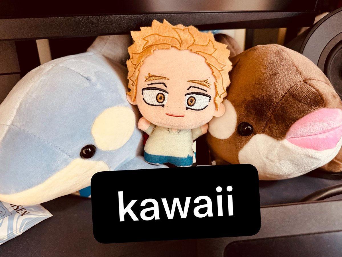 n43bz9's tweet photo. うちのモニター下のかわい子ちゃんたち
左シャチで2周年ちゃんと右シャチでバレンタインちゃん。輝かしいセンターに啓悟君です。左下に見切れてるのはいつぞやの五条ドリップ珈琲です https://t.co/WNISSCFM2R