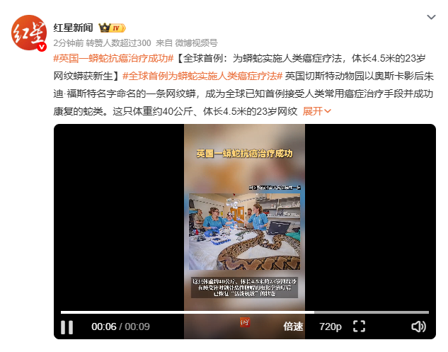 0xXX_bscdev's tweet photo. 全球首例!!!
试验成功
蟒蛇实施人类癌症疗法
https://t.co/kzwPN7mtSK https://t.co/t8OwCVETWy