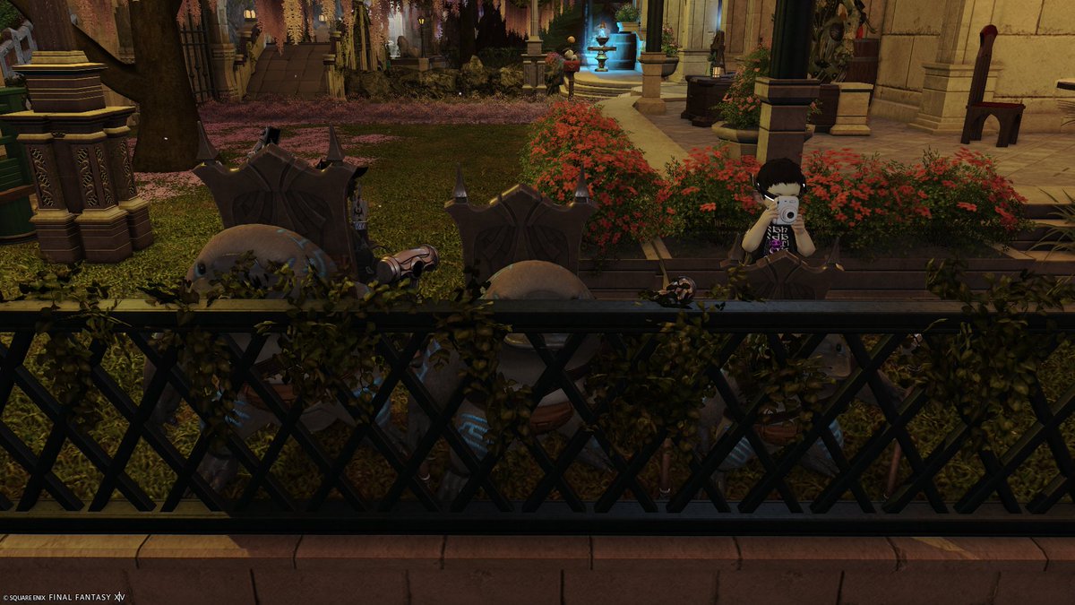 kurosanyoru's tweet photo. #ffxiv https://t.co/fJqNfa2Emk