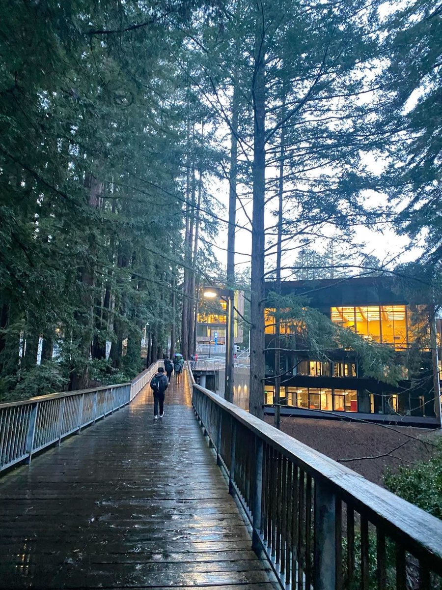 lusiavn's tweet photo. QOTD!! : what are you/do you plan on majoring in college? 

for me : astronomy (atleast minor) at UCSC! https://t.co/pGH6sDTWPt