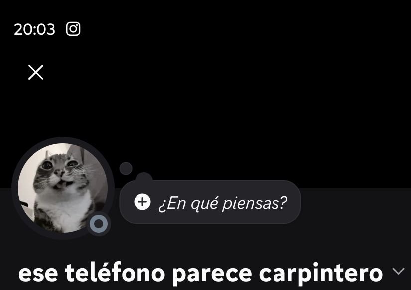 insidemyhead_dd's tweet photo. El mejor nombre que me puse en discord https://t.co/jFRDWNgSjm