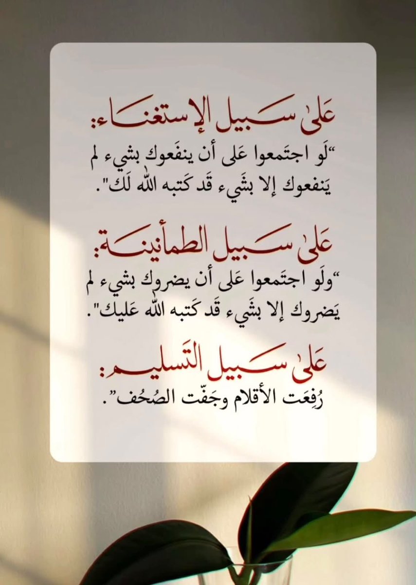 naserbata's tweet photo. https://t.co/KXXfGuhRlZ